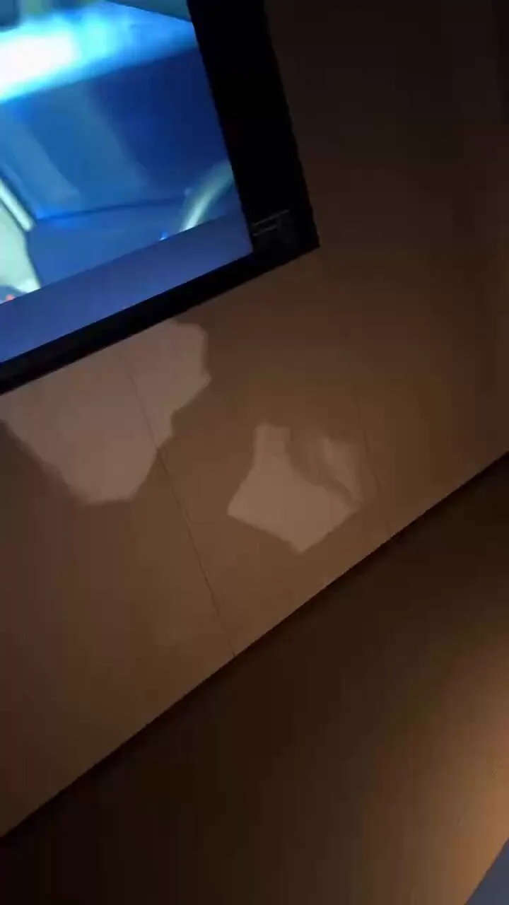 周五的晚上，给大家来个朦胧美，虽然朦胧，但是少妇的身材口活也很劲爆，绿帽夫妻，老公有事，稍后来，我干的时候，让她和她老公开视频，少妇在酒店大床上被我猛干，紧致骚穴被粗大肉棒无套抽插，少妇说，“我老公就喜欢看我被射满！”绿帽老公硬到发抖，盯着精液从穴口流出，骚妻掰开双腿挑逗。 https://t.co/wC4AqeZNOu