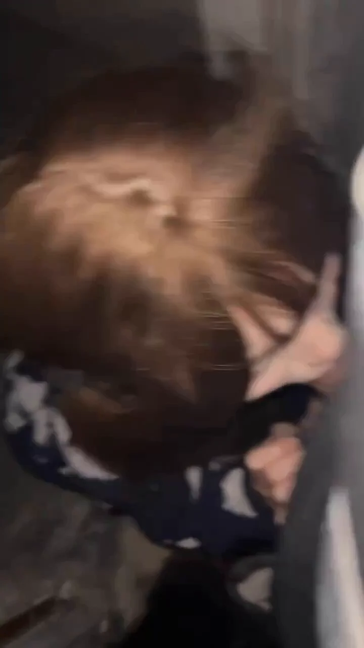 哥哥说让我来楼道口…

@Xiaoxiaofoer
@MitsumeDoji
@OoniDevil https://t.co/JOZHVpgxd2