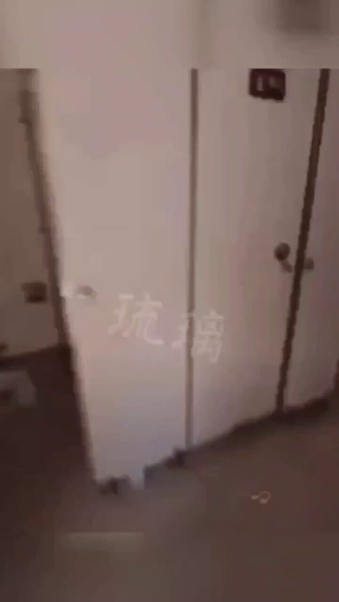 Wataa https://t.co/JvqaWkDNEZ