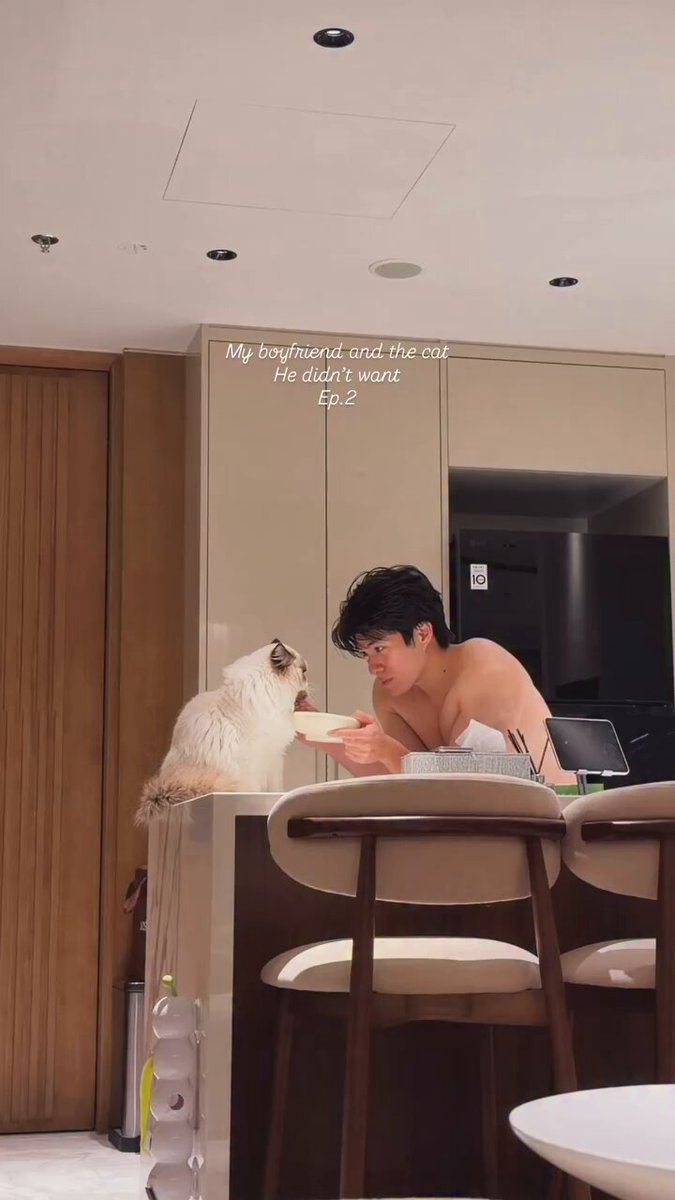 "อย่าเอาแมวมาเลี้ยงเด็ดขาดเลยนะ"
//3 วันต่อมา https://t.co/AKEiAn1PPi