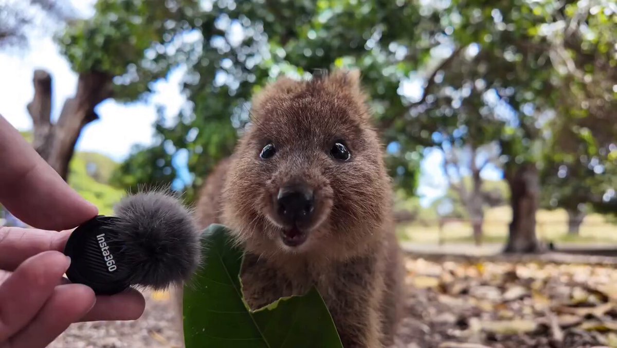 First bite of this year! https://t.co/nKTmAL94iJ