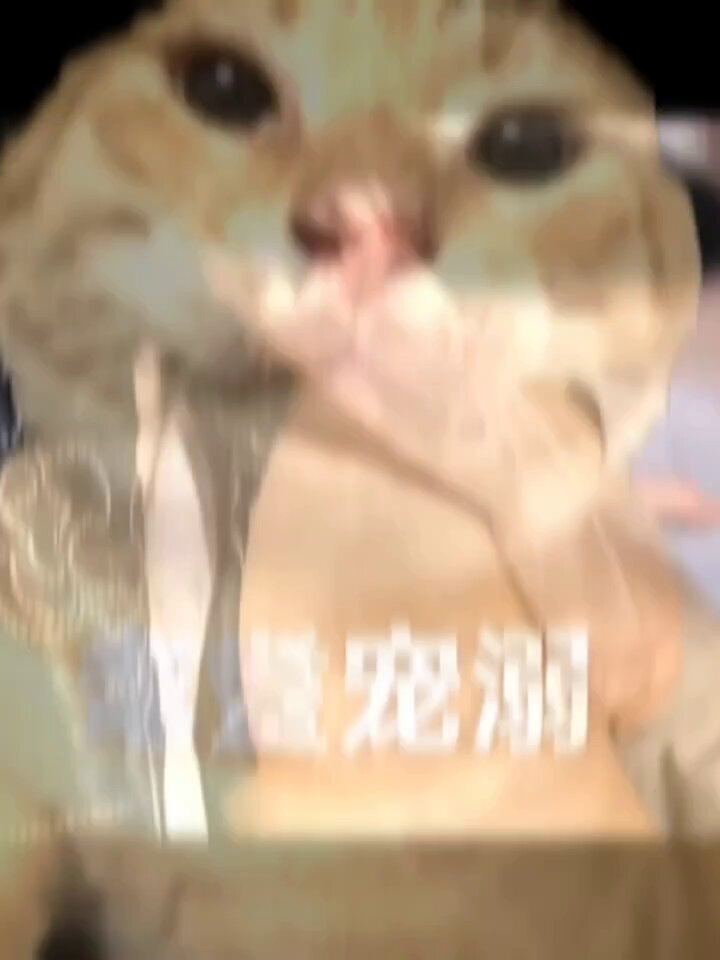 耄耋电影厂之fucker 你的bin 
耄耋不语，只是一味都fucker男娘的bin
有没有动的，bin哥现在91开fucker，谁fucker谁的bin一眼就知😋，男娘bin我看也是小虎级别的尤物啊😋
#男娘 #伪娘 #母狗 https://t.co/TP1YgdxA1L