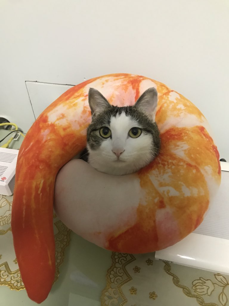 #今日# https://t.co/rjGg55ZO7K