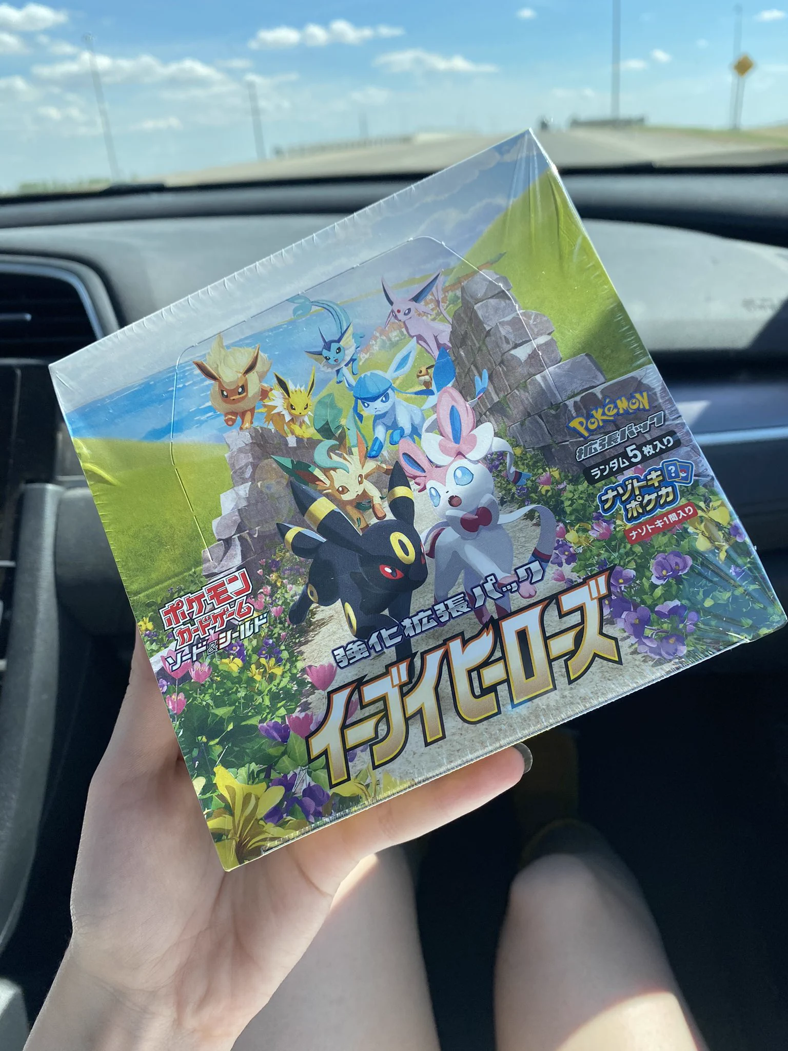 My Eevee Heros tcg box came in 😭💕!! Eeep, I am horrible at waiting.. I think imma get ready now and pop on stream to open these today :3 https://t.co/f4TVbzX5Vf