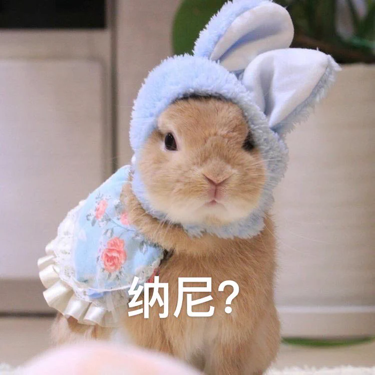 我竟然一个人默默的打上了星耀。。。。水平激增啊 https://t.co/H11ggzXz2D