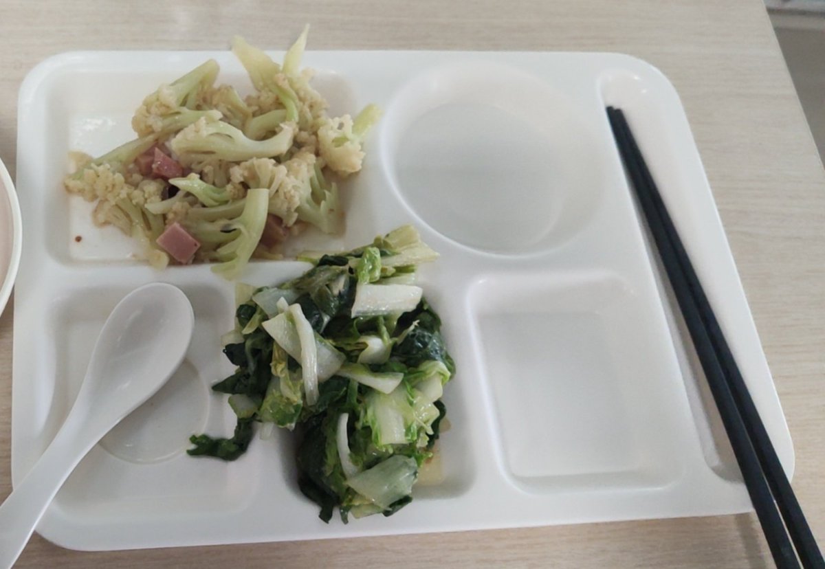 一个月绿叶菜任务返图day6。食堂做了红烧丸子还有粉丝鱼柳。盘子里却是菜花和不认识的绿叶菜。本肉食主义畜流下两行泪水。 https://t.co/GpHrc3ctW3