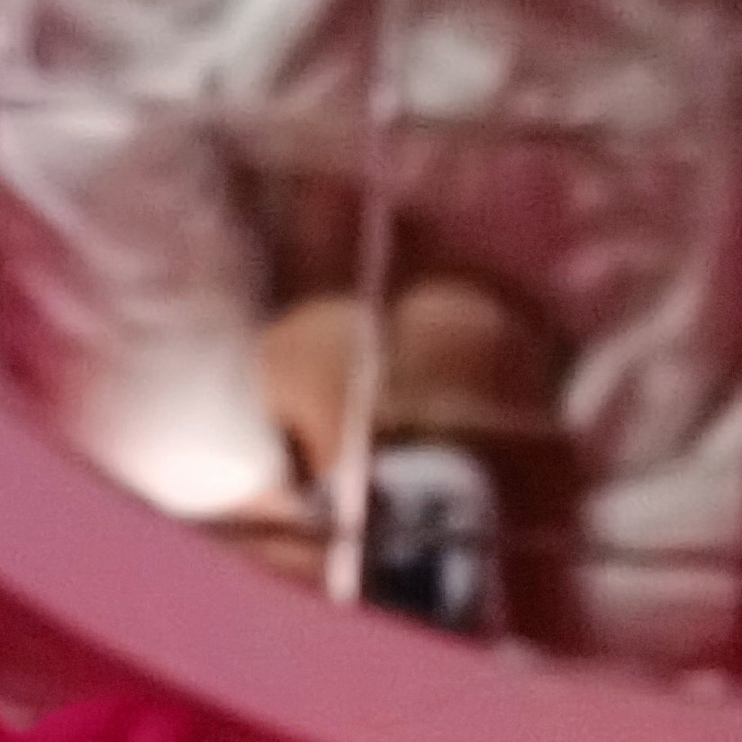 在上面. https://t.co/0Ma5NipzDW