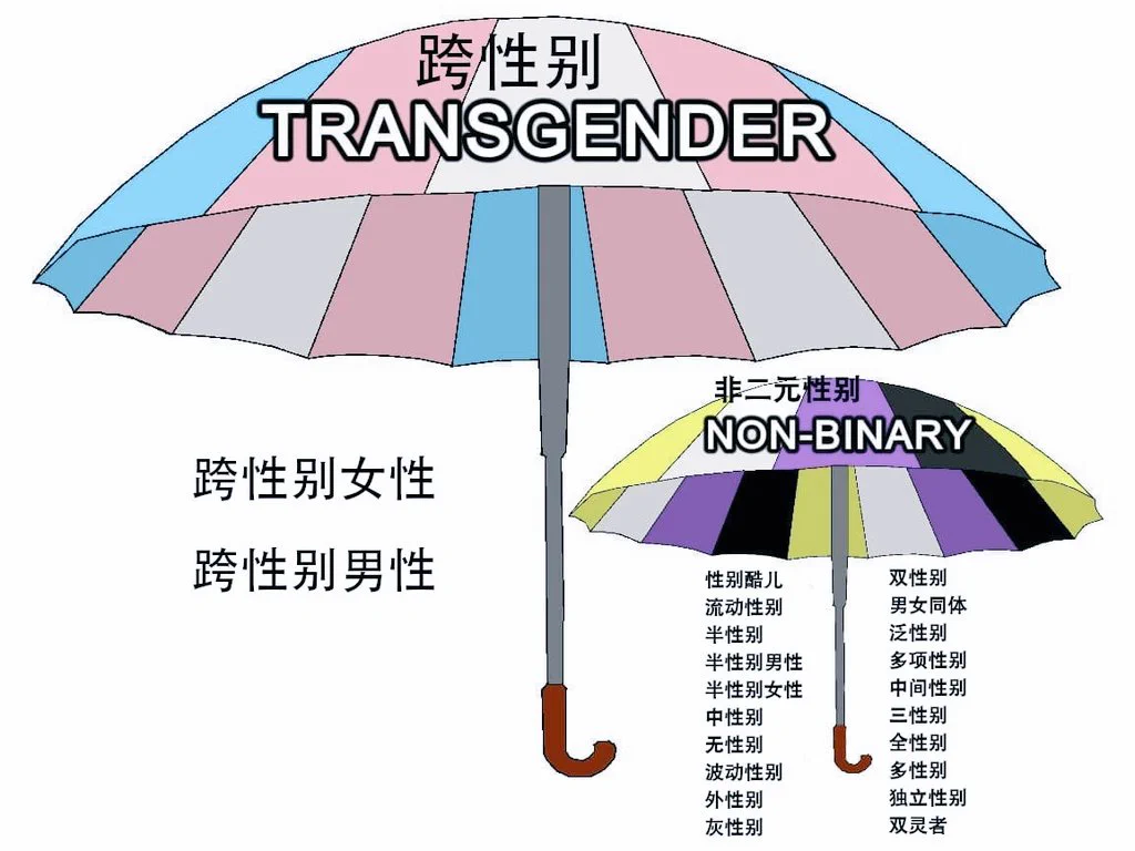 我就是我，定义个毛，谁在乎一个身份证上是男性奶子比老婆还大脸蛋比美女不差的职场白领性别？喜欢我可以干我，喜欢我也可以让我干👿 https://t.co/MwTM0Akvft