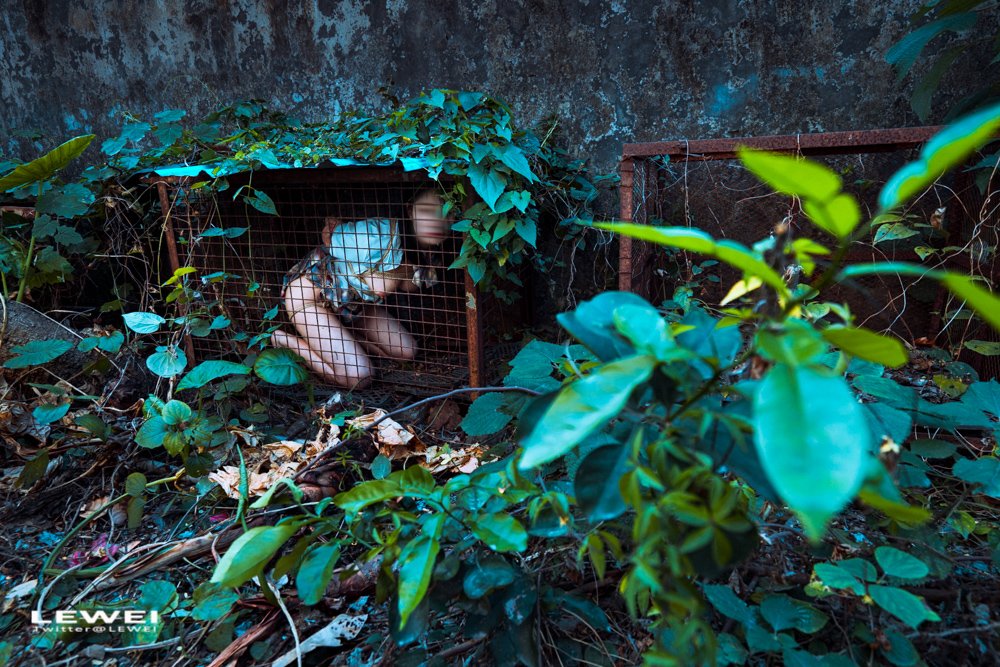 模特: 小金
#LEWEI #Bondage #广州约拍 #捆绑 #废墟 #BabyArt #ChinaArt #ChinaBondage 各类主题创作拍摄欢迎私我约拍～

 投稿：@Fengsiyuan
 @wqganenshi https://t.co/AtnGBekU4O