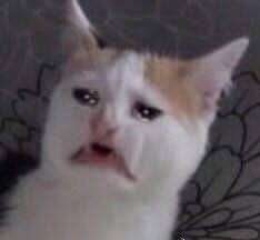 我的连续工作时长已经爆表了。。。想吐。。。好想休假。。。 https://t.co/zxr6QATVeI