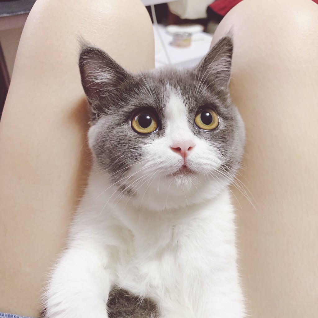 v https://t.co/Rd5YAZXIqd