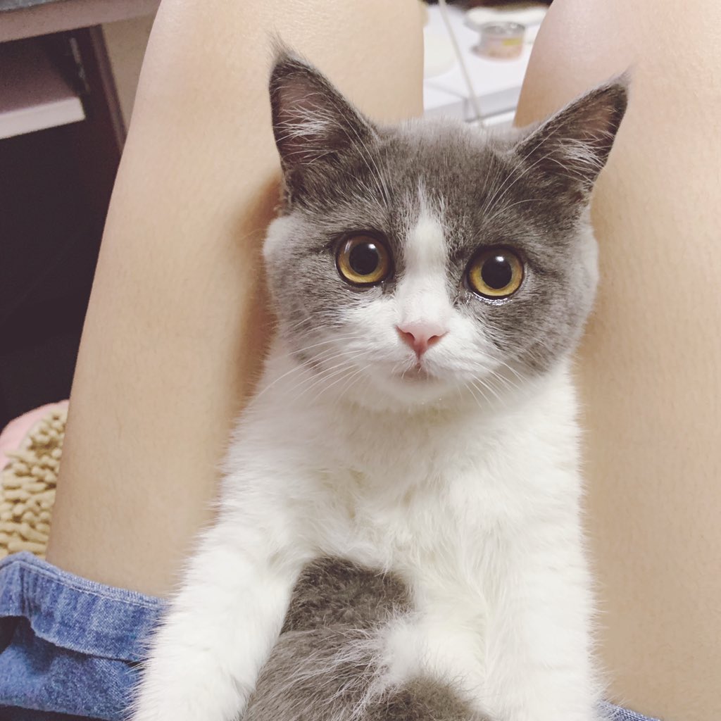 v https://t.co/Rd5YAZXIqd