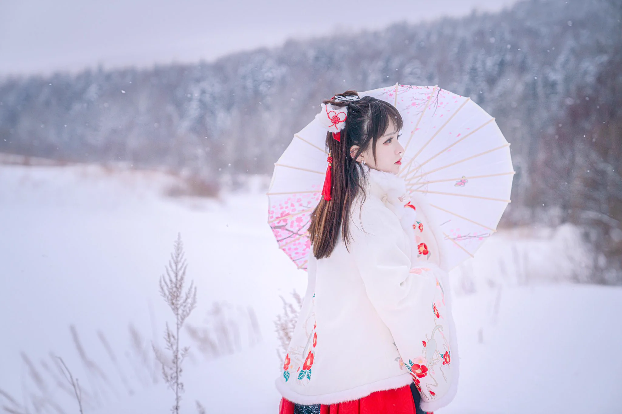 昔去雪如花，　　　　今来花似雪。 https://t.co/ZSACsLfcwW