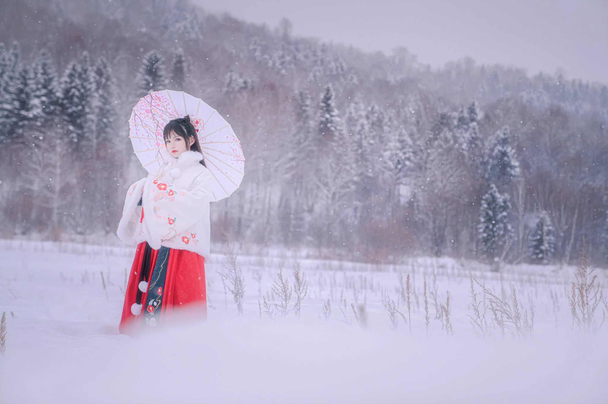 昔去雪如花，　　　　今来花似雪。 https://t.co/ZSACsLfcwW