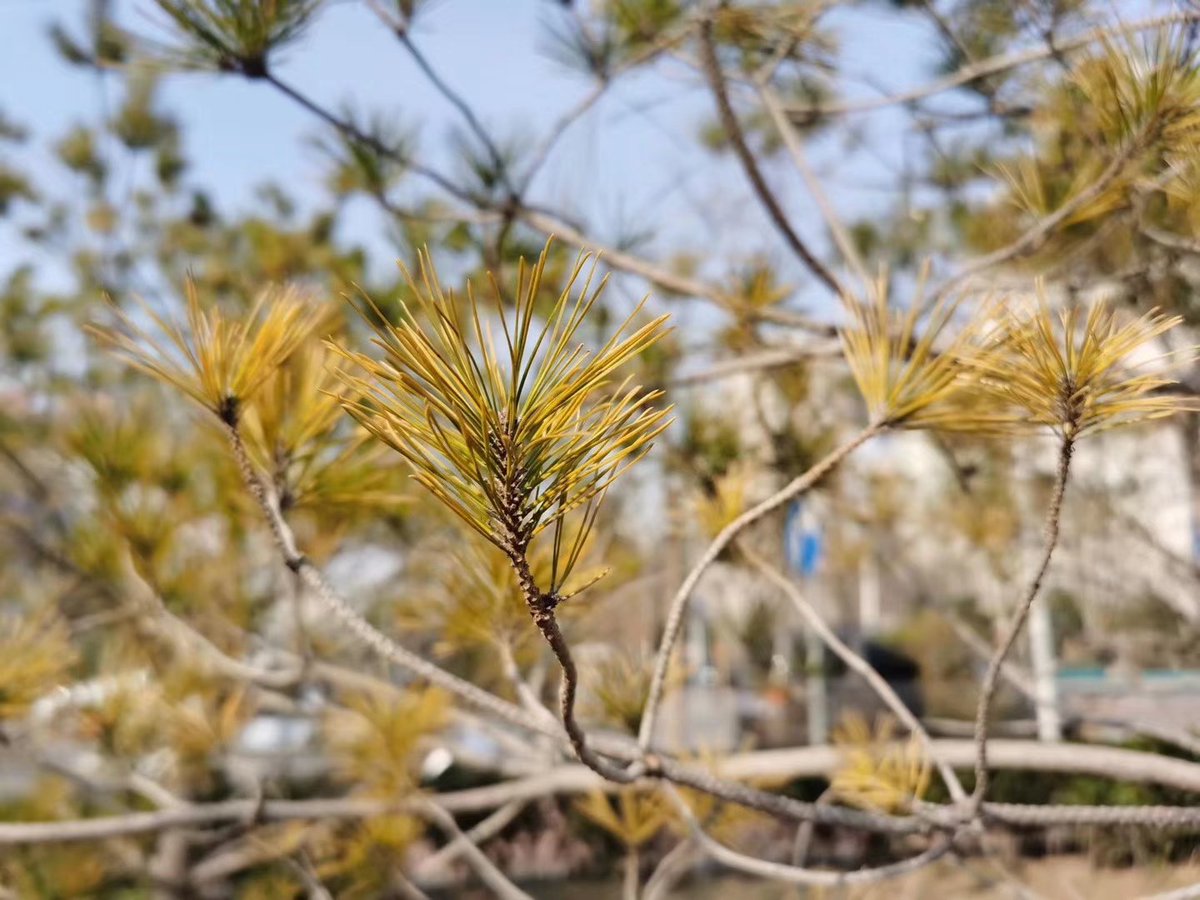 三月！ https://t.co/jpQjELGxhN