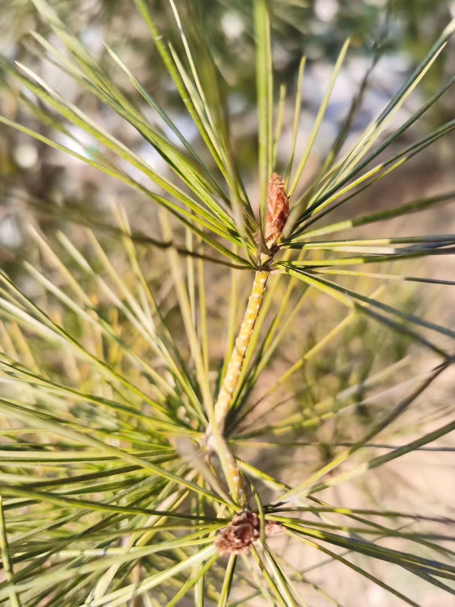 三月！ https://t.co/jpQjELGxhN