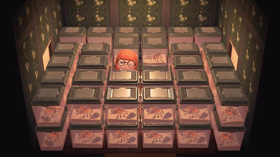 Everyone is sharing aesthetic pics of their #acnh house ♡ Here is mine! Ignore the wasp sting pls https://t.co/GwRAD0BtAP