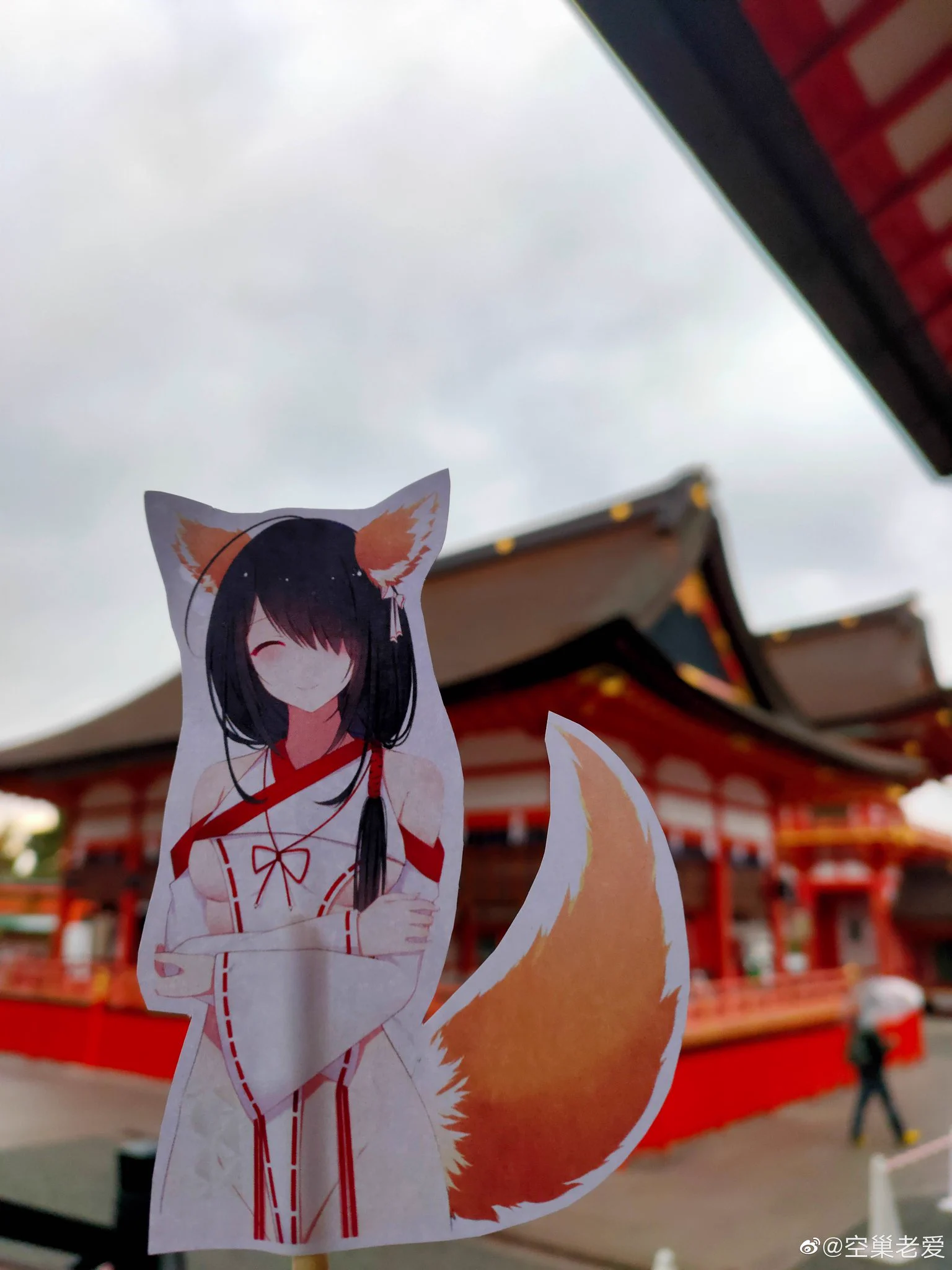 【粉丝投稿】www https://t.co/7l3yLKdL77