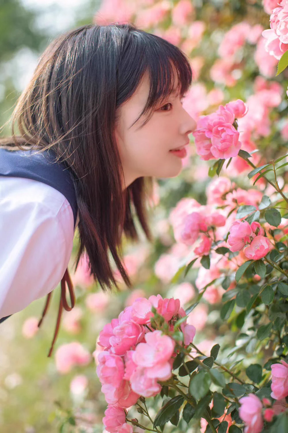 通学路のバラ咲いたよ〜 https://t.co/oNFqQTmwZV