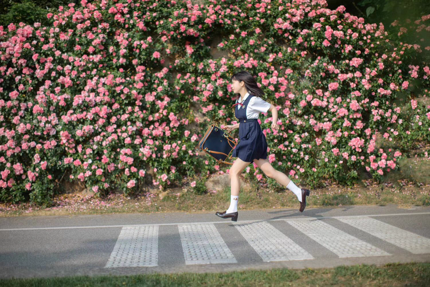 通学路のバラ咲いたよ〜 https://t.co/oNFqQTmwZV