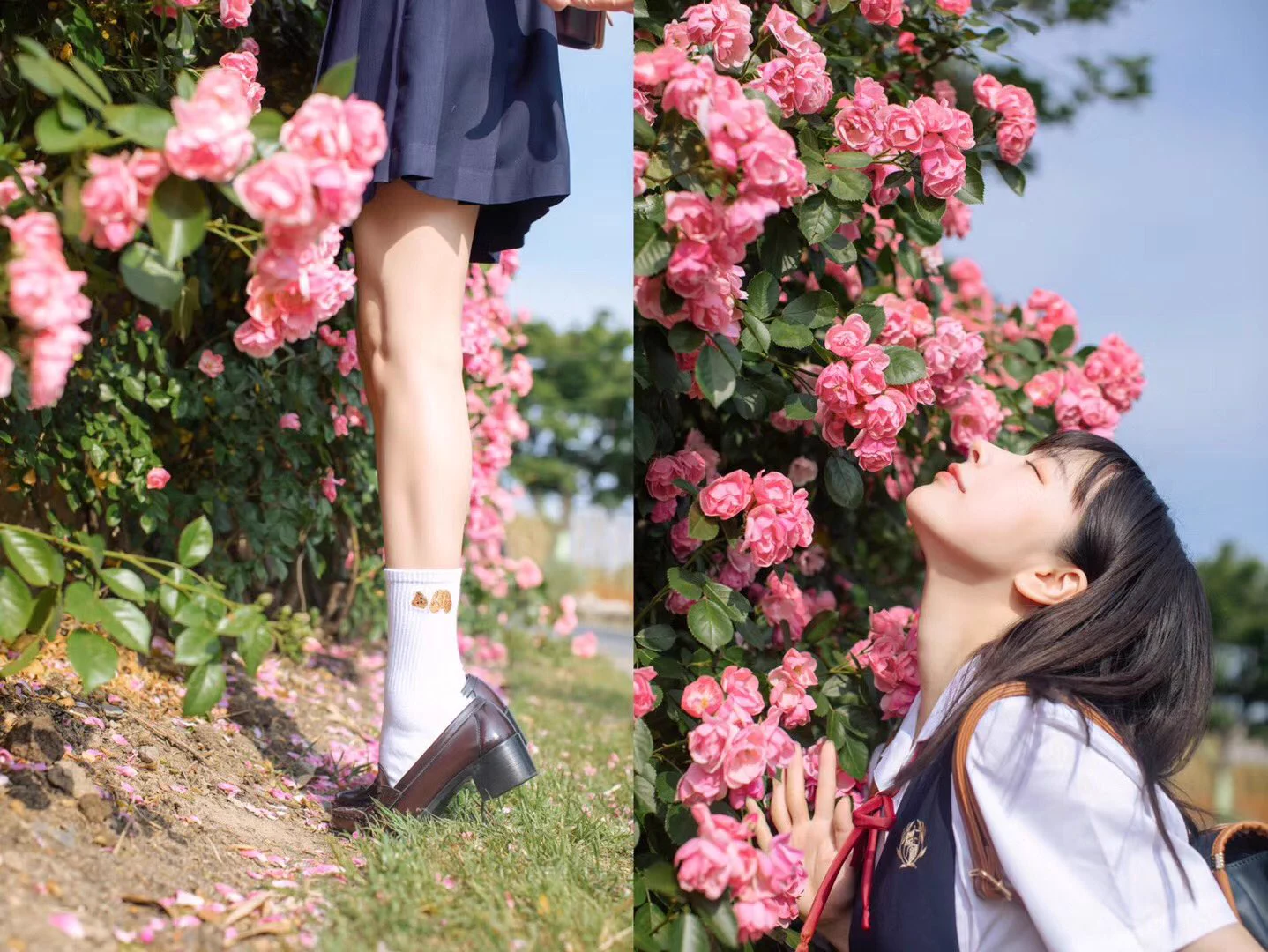 通学路のバラ咲いたよ〜 https://t.co/oNFqQTmwZV