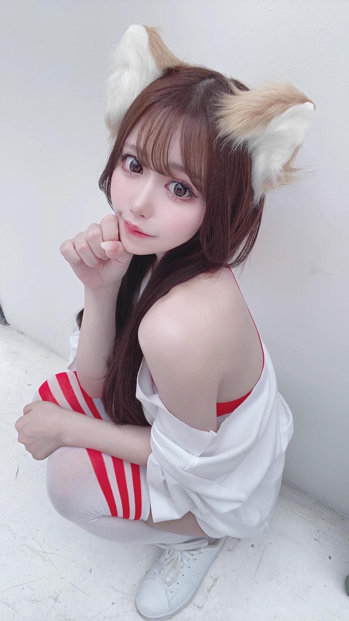 キツネ？🦊→RT

ネコ？🐱→いいね❤️

どっちだと思う？ https://t.co/LszW3Z4oJL