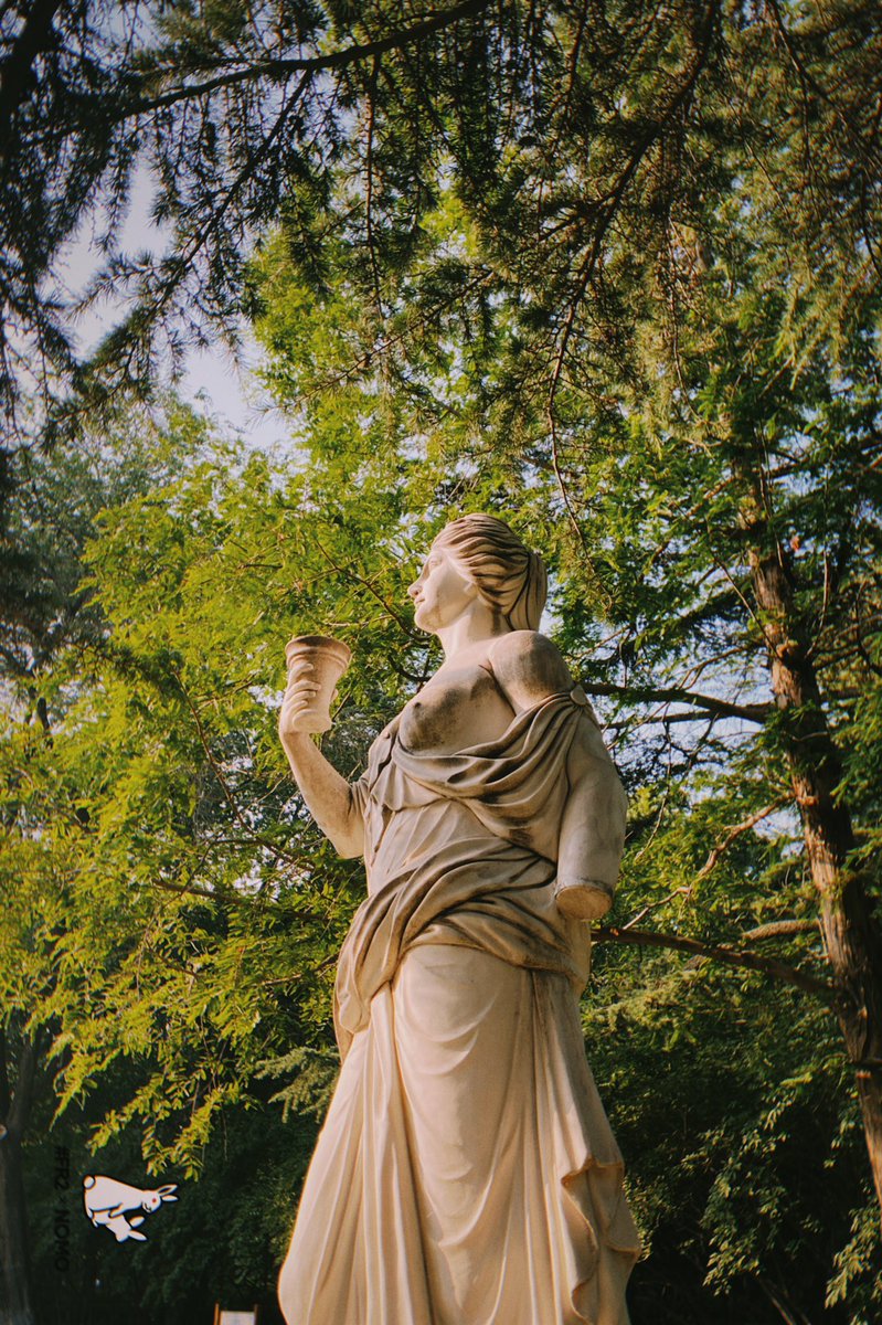 早起的人儿有奶拍 https://t.co/fNJaEwryAh