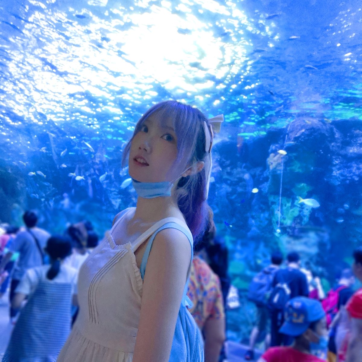 喜欢水族馆 https://t.co/eCmdsDOQox