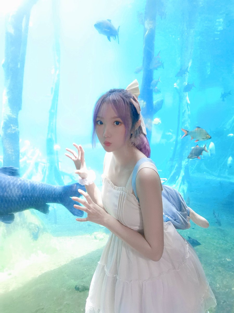 喜欢水族馆 https://t.co/eCmdsDOQox