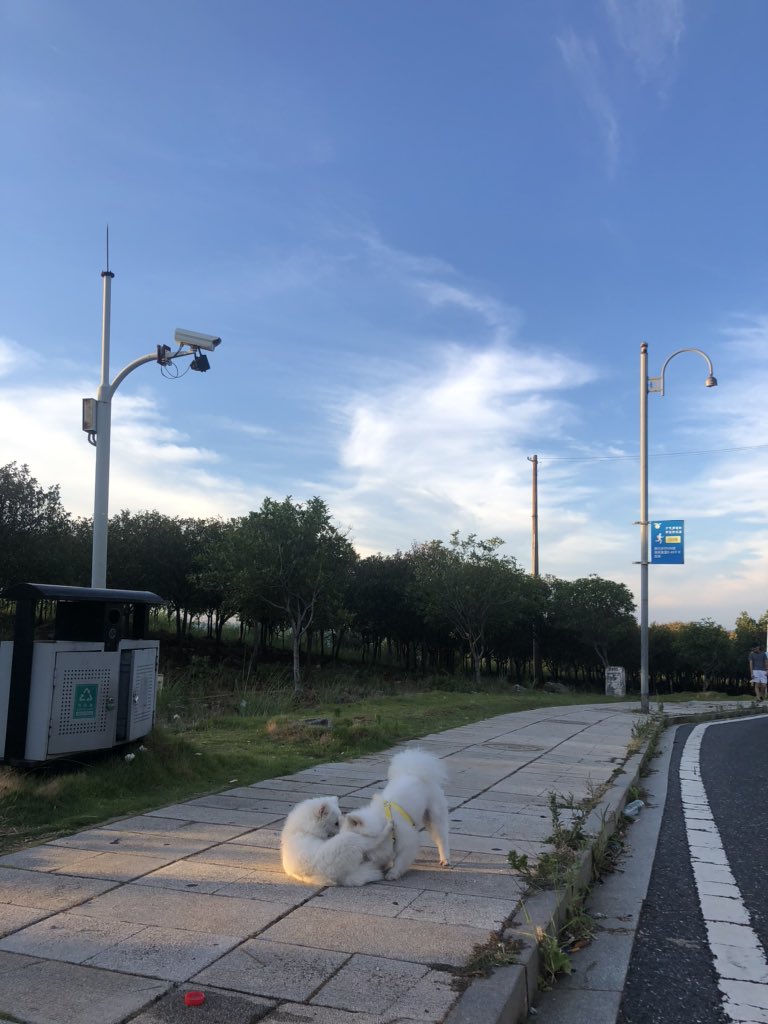 现场看了几段狗片 真的比男的厉害 说来就来 一秒变长 anytime u want https://t.co/ONbqt7h2l7