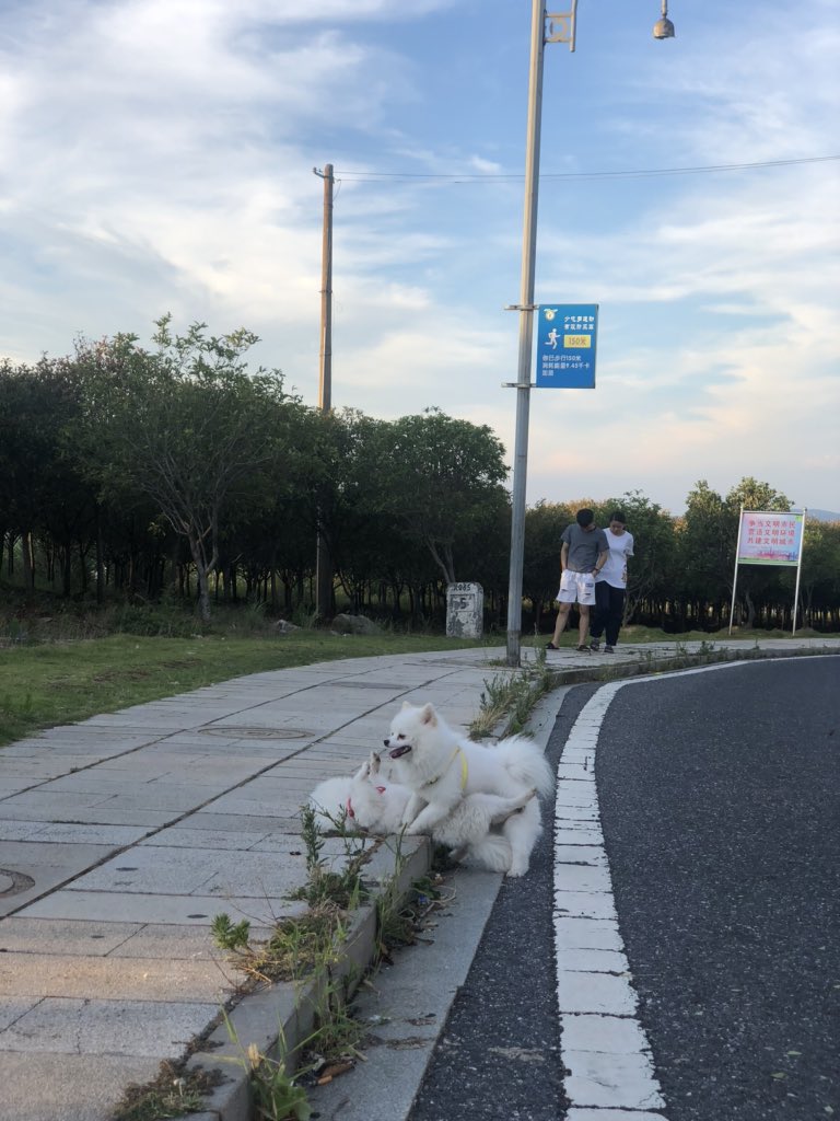 现场看了几段狗片 真的比男的厉害 说来就来 一秒变长 anytime u want https://t.co/ONbqt7h2l7