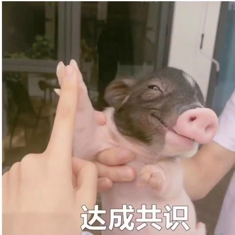 @SANQINGYEZI https://t.co/yRtOFLhkhU