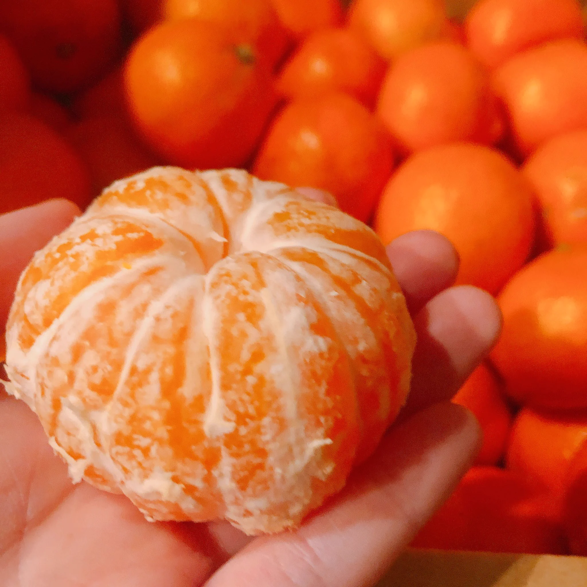 おはよう！お久しぶりです🤍愛媛に行った友達からみかんを大量にいただきました🍊食べ切れる気がしないのでなにかみかん使ったデザートでも作ろうかな❓#愛媛のみかん https://t.co/q68aZbDKPX