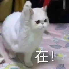 最近玩去了，太冷了，不想更不想动 https://t.co/QQd21PBzxq