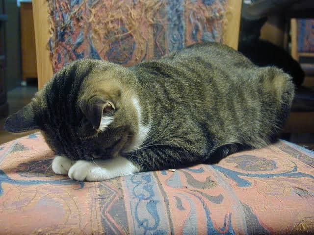 完全一致😲 https://t.co/aBBAEawiI3