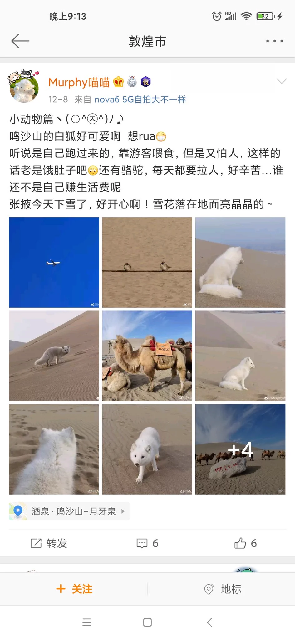 今天去了天下第一泉月牙泉，还骑了超可爱且温顺的骆驼，还在沙漠滑沙，一天下来太棒了，不过唯一的遗憾就是没遇见别人说的小狐狸 https://t.co/1dYk39vpz0