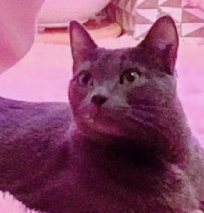 When you realize your mom is a hoe https://t.co/iNSVKOBXhG