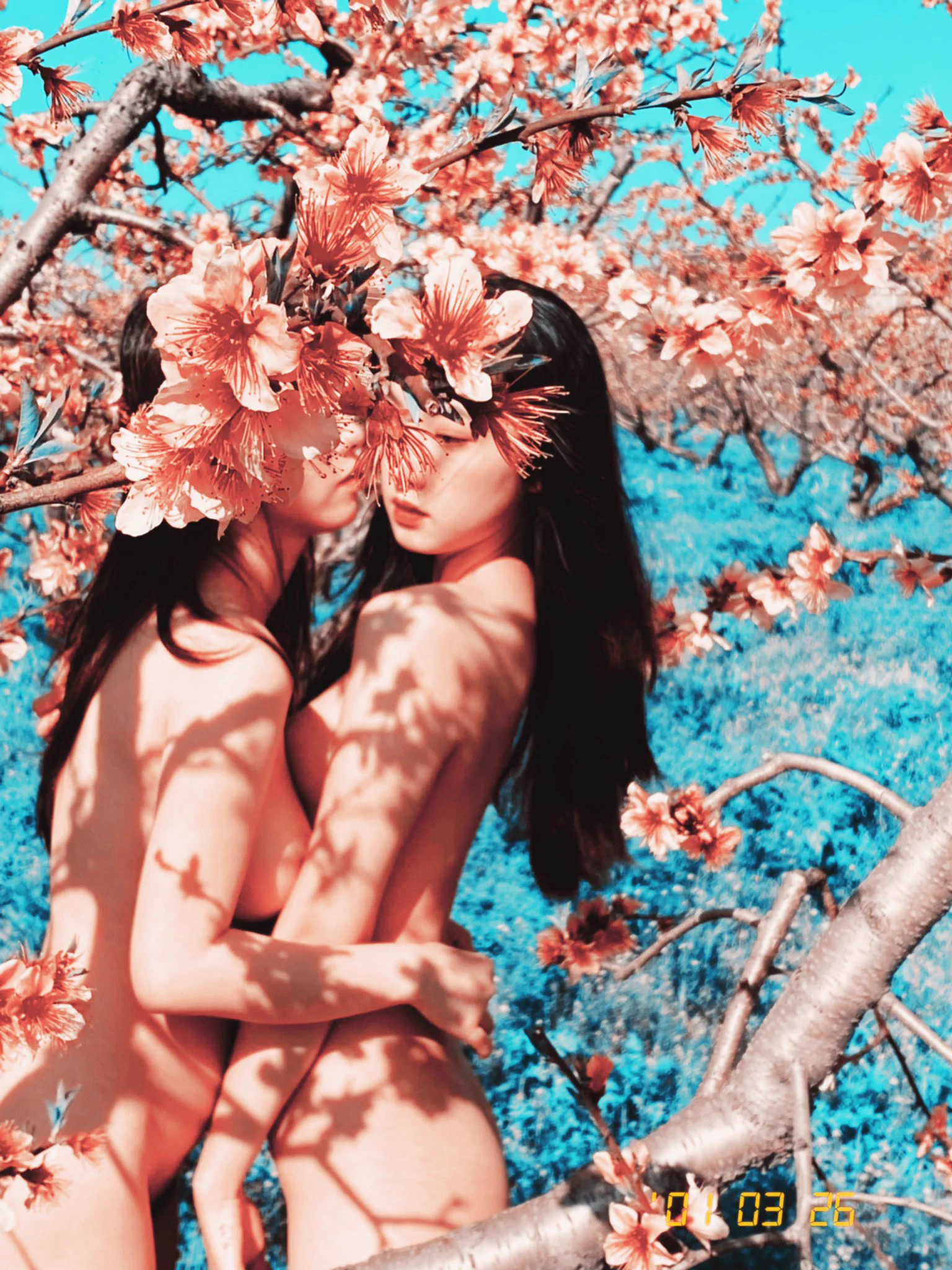Peach Blossom@qinweiyingjie @Pumpkinmua_ https://t.co/WqZ7fH1TYm
