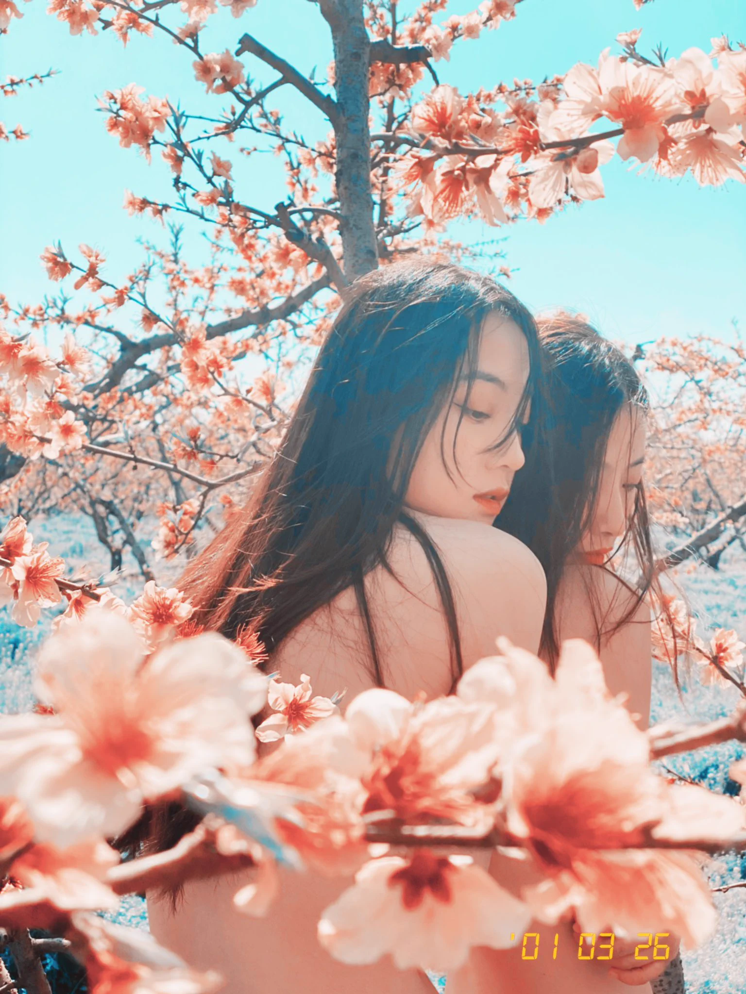 Peach Blossom@qinweiyingjie @Pumpkinmua_ https://t.co/WqZ7fH1TYm