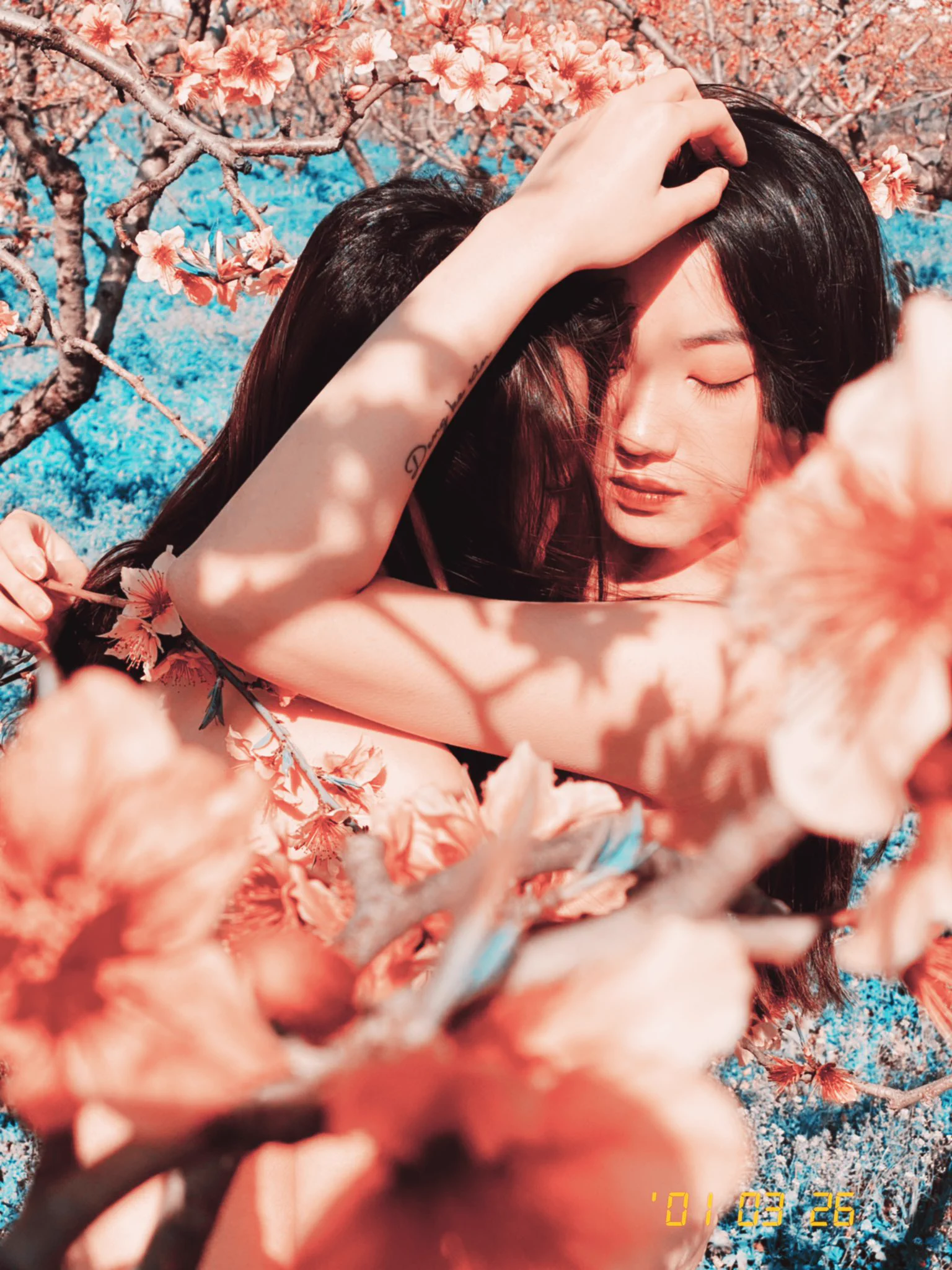 Peach Blossom@qinweiyingjie @Pumpkinmua_ https://t.co/WqZ7fH1TYm