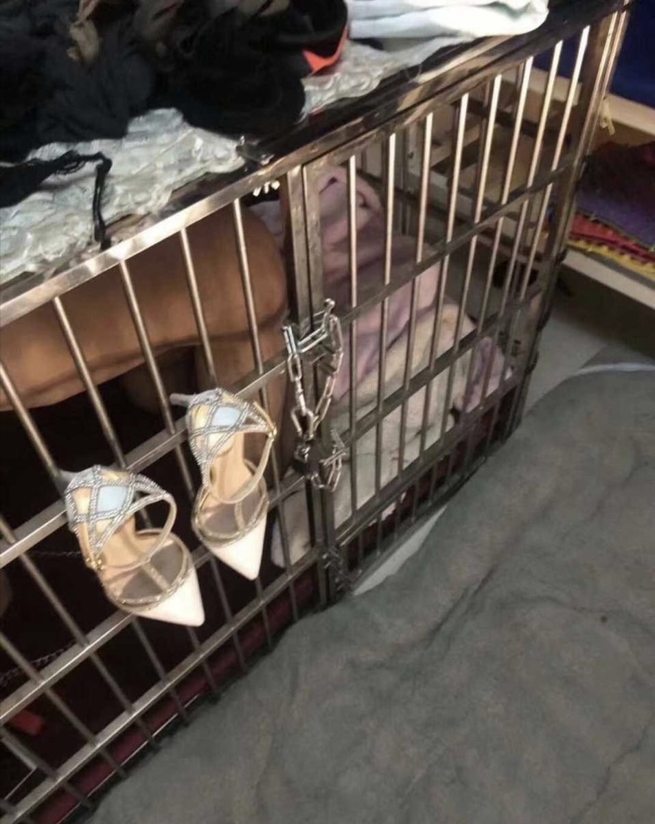 啊咧?负债累累不是傻逼理所应当的事情吗?看着祖宗光鲜亮丽，自己活的像畜生一样的那种极限压迫感，不就是你们这些劣等生物的犯贱密码吗?被祖宗控制金钱的压榨胁迫生活，让你走向爆耍地狱，永世不得翻身！！
#atm #ATM #ATM奴 #ATM提款机 #atm奴 #atm提款机 https://t.co/r6Mat62W7G