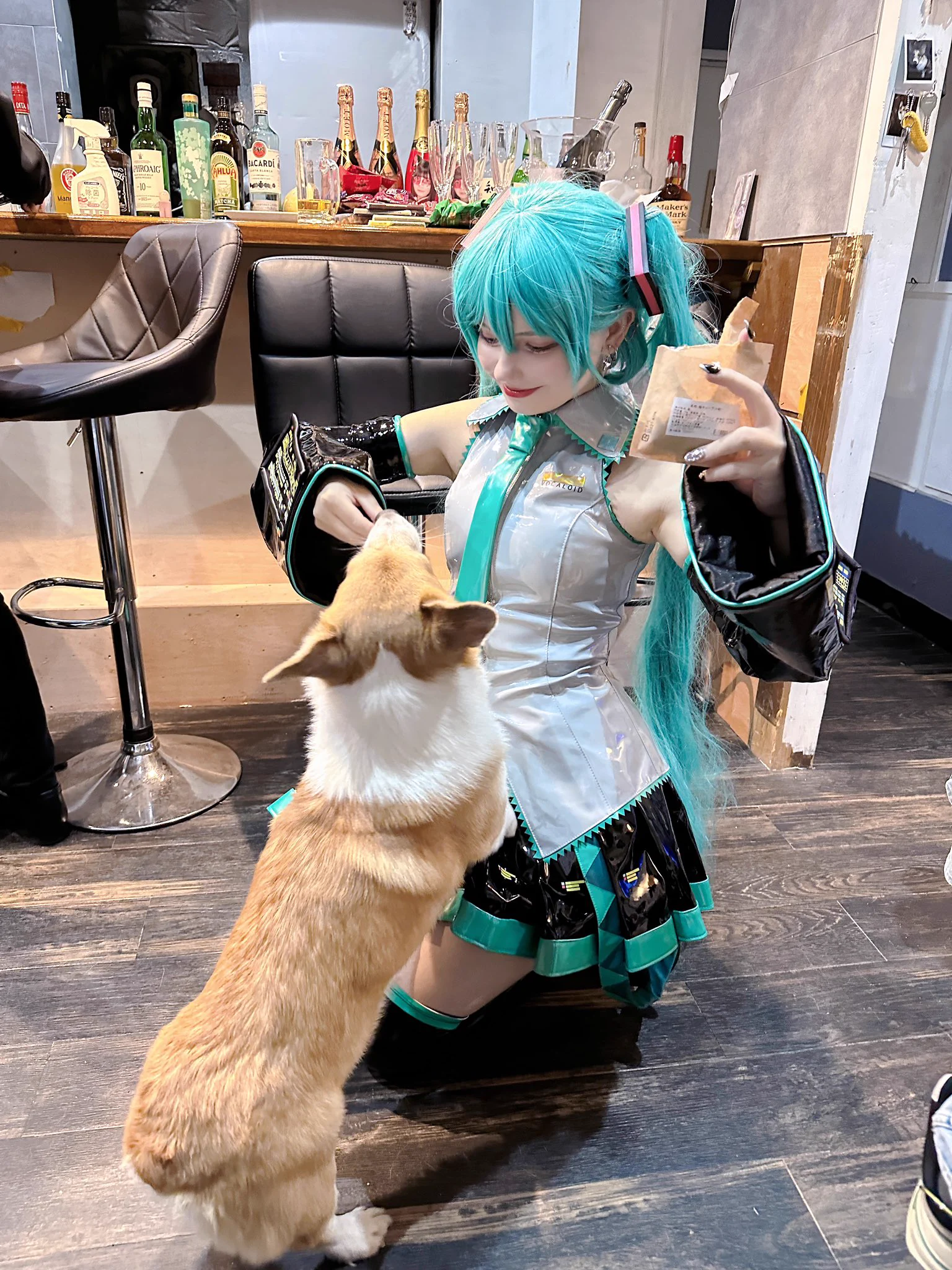 いぬ🥹 https://t.co/jJ6tsboMbD