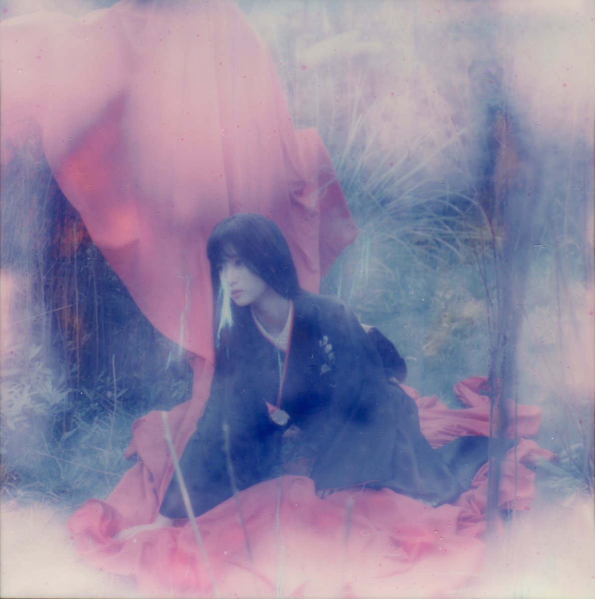 过期相纸反而更接近梦境。 https://t.co/TcTcTYs2aj