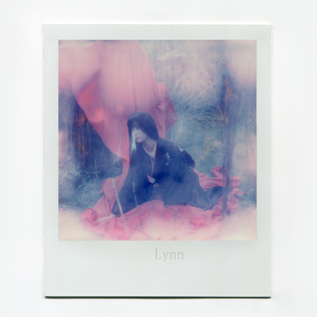 过期相纸反而更接近梦境。 https://t.co/TcTcTYs2aj