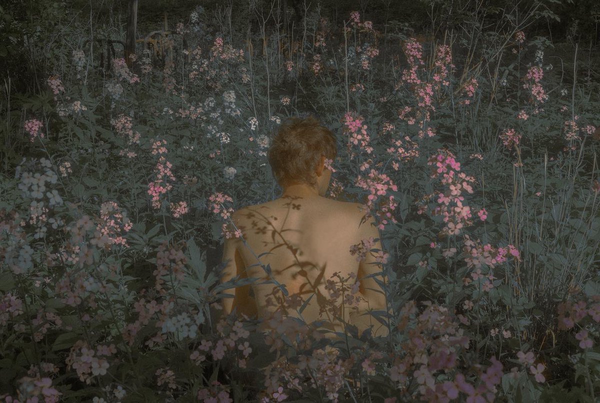 We are so back https://t.co/5WlGPzjapY