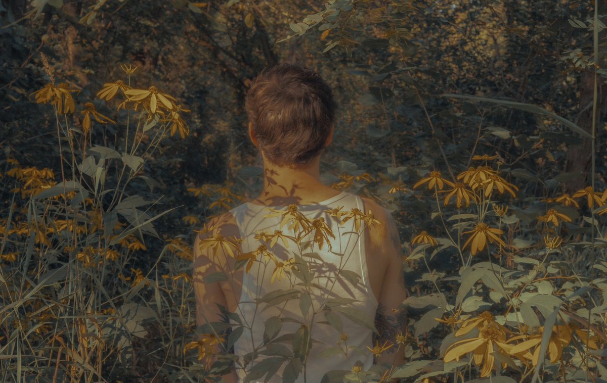 We are so back https://t.co/5WlGPzjapY