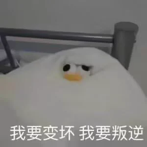 还是小玩具爽 狠狠的冲了四次 脑袋发麻 https://t.co/qtiwYTmsth