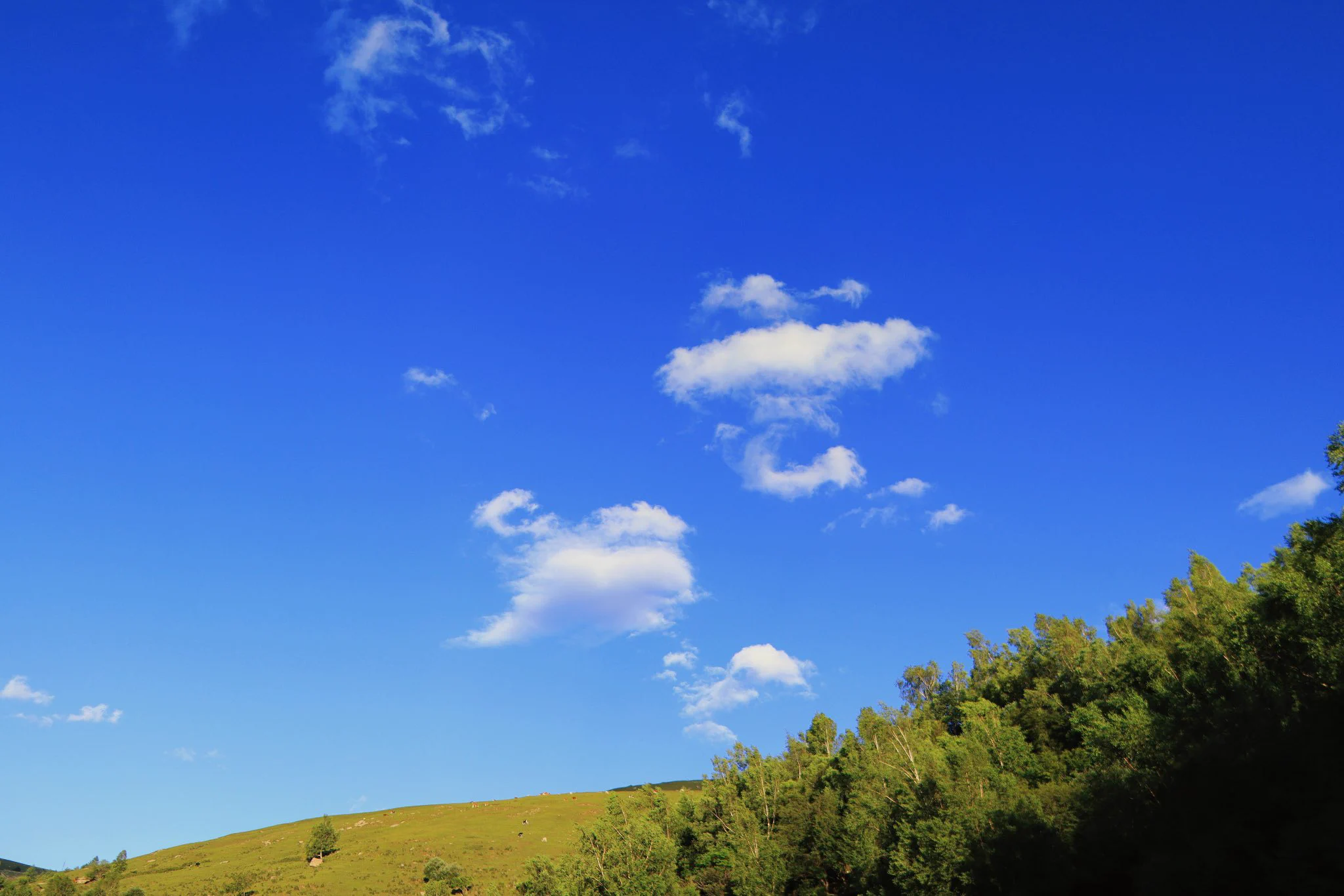 天空的云写下了自己的名字 https://t.co/brDo09sP9X