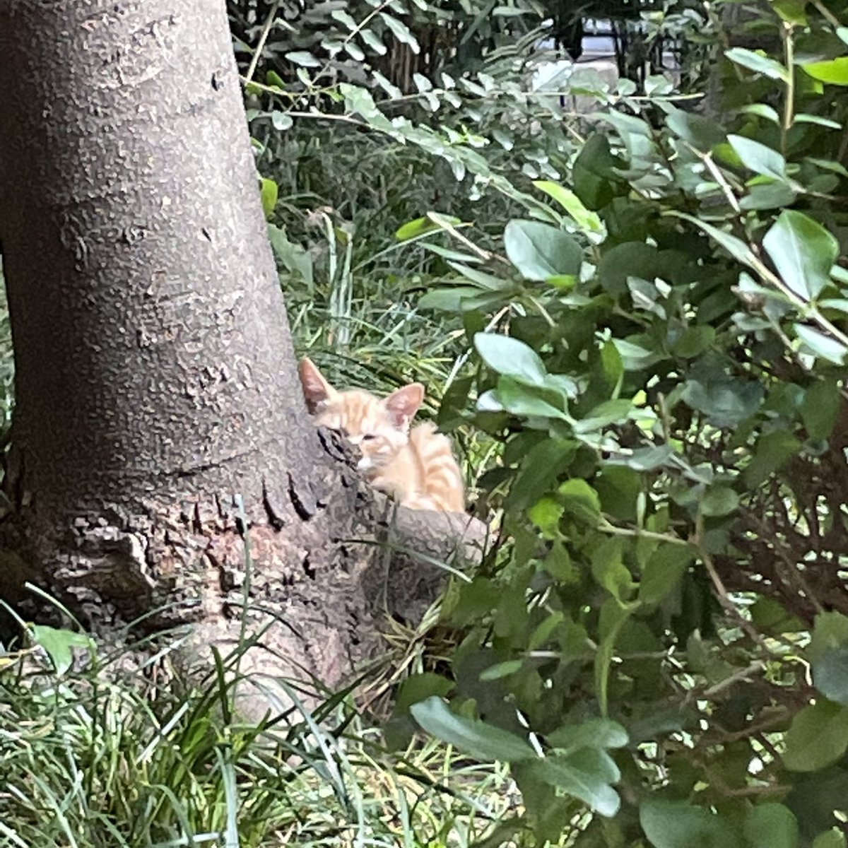 生活没有特色 https://t.co/FMVmbsmCCQ