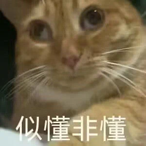 晚安安 https://t.co/gyfWudsiZx